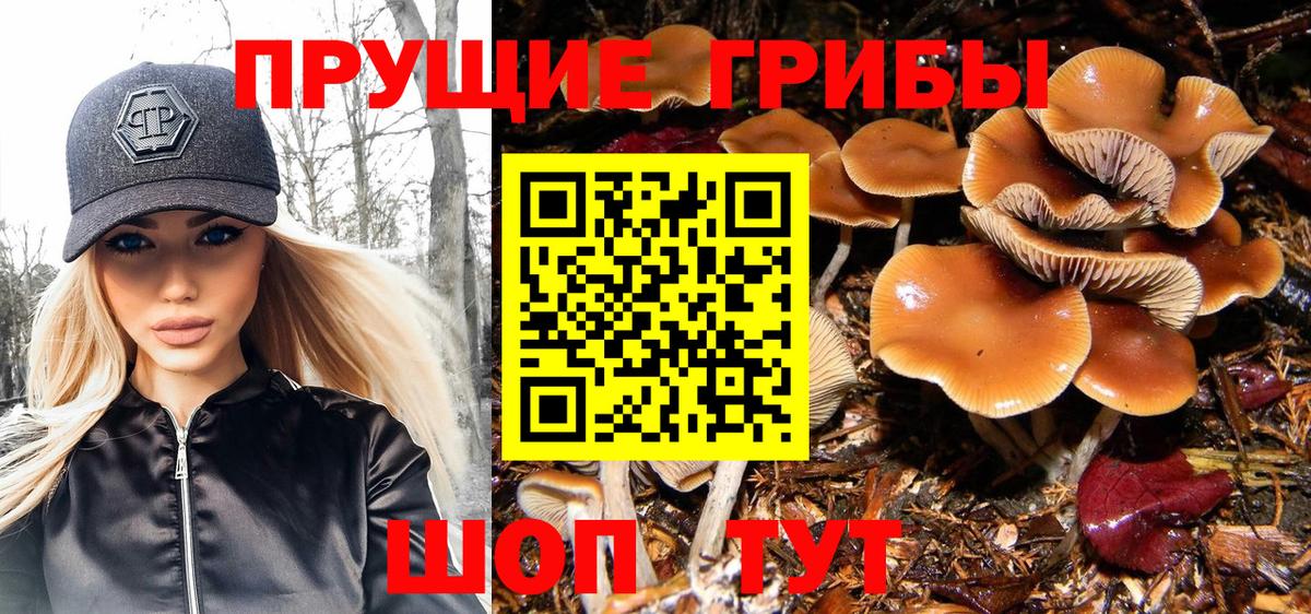 Псилоцибиновые грибы прущие грибы Новый Уренгой
