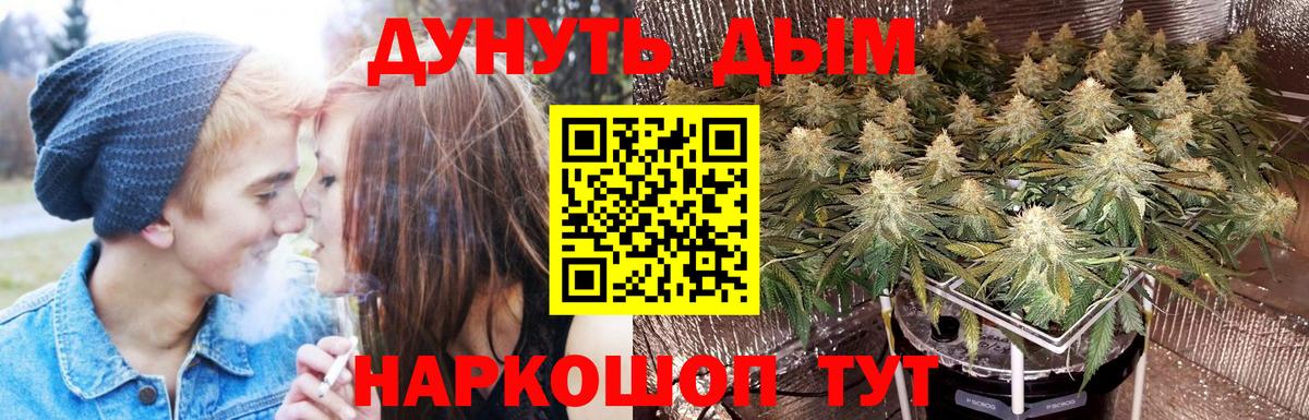 Новый Уренгой  Каннабис SATIVA & INDICA  МАРИХУАНА White Widow  Бошки Шишки VHQ  Канабис OG Kush  Вход с VPN 